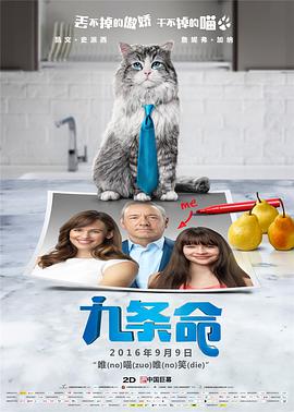 欧美福利精品福利视频在线观看
